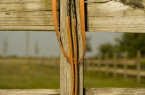 Rope Draw Reins